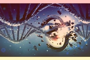 年内公司债发行逾3万亿元债券创新品种不断涌现
